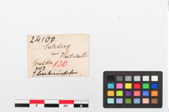 Etiketten zu Bronzeknopf (NHMW-PRAE-024100)